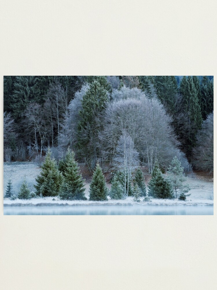 Alternate view of Autumn can be cold Photographic Print