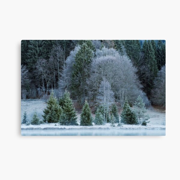 Autumn can be cold Canvas Print