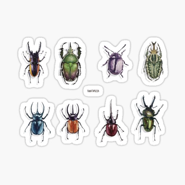 Beetle collection Sticker