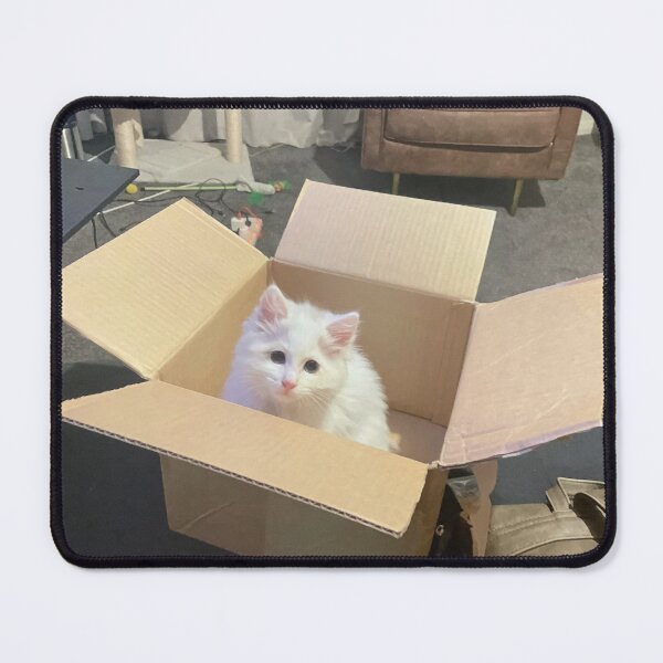 Item preview, Ragdoll kitten in box by Suzanne Beasley designed and sold by Jacinta hunt.