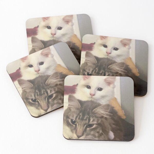 Item preview, Ragdoll  kitten and fluffy tabby by suzanne beasley designed and sold by Jacinta hunt.