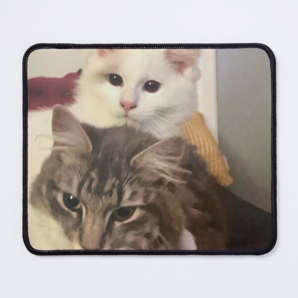 Item preview, Ragdoll kitten and fluffy tabby by suzanne beasley designed and sold by Jacinta hunt.