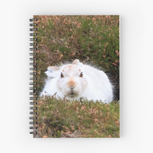 Item preview, Mountain Hare (Lepus timidus) designed and sold by chanonry.