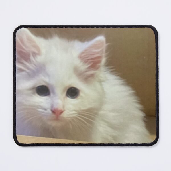 Item preview, Ragdoll suzanne beasley photo designed and sold by Jacinta hunt.