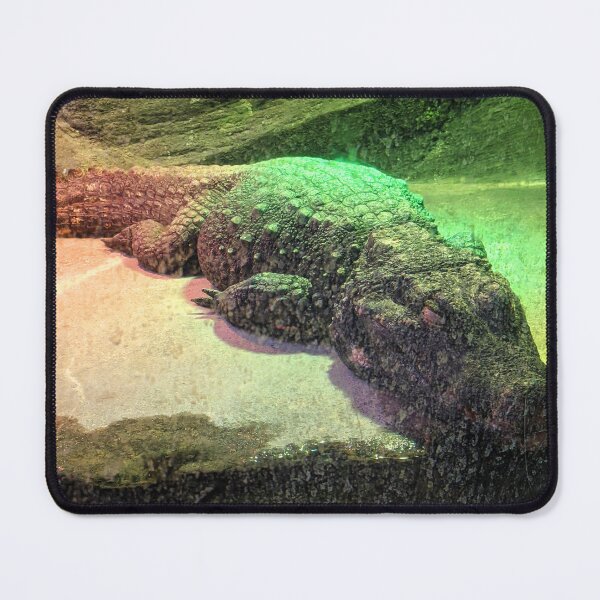 Item preview, Crocile Sitting on Rock designed and sold by shadowspeeder.
