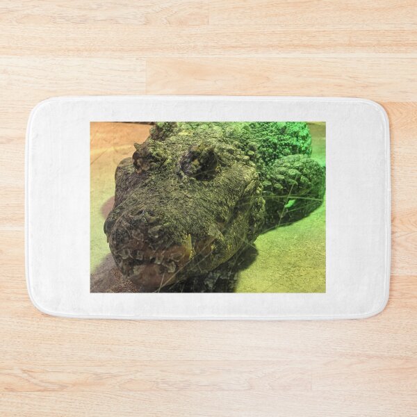 Item preview, Crocile Sitting on Rock designed and sold by shadowspeeder.