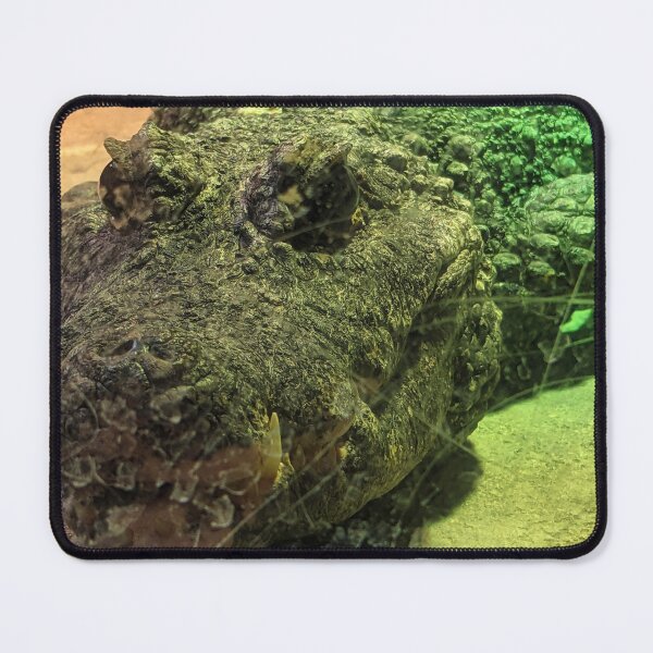 Item preview, Crocile Sitting on Rock designed and sold by shadowspeeder.