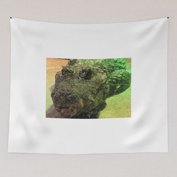 Item preview, Crocile Sitting on Rock designed and sold by shadowspeeder.