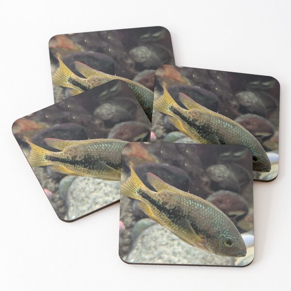 Item preview, Brown and Orange Fish designed and sold by shadowspeeder.