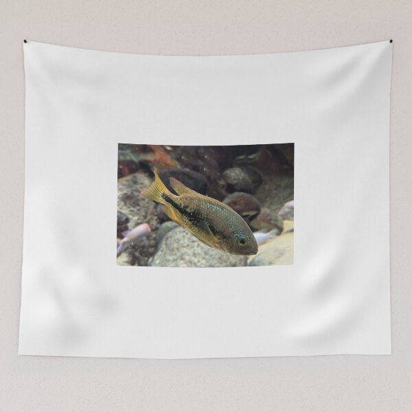 Item preview, Brown and Orange Fish designed and sold by shadowspeeder.
