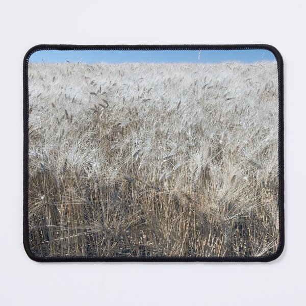 Item preview, 2009 Campo di grano designed and sold by robertoferrero.