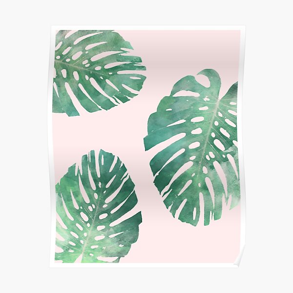 Watercolor tropical monstera leaves on pink background Poster