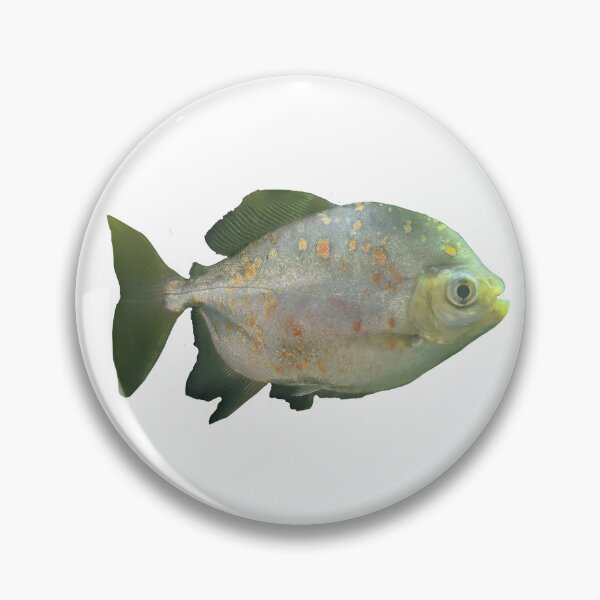 Artikelvorschau, Grüner Fisch mit Spezifikationsfoto entworfen und verkauft von shadowspeeder.
