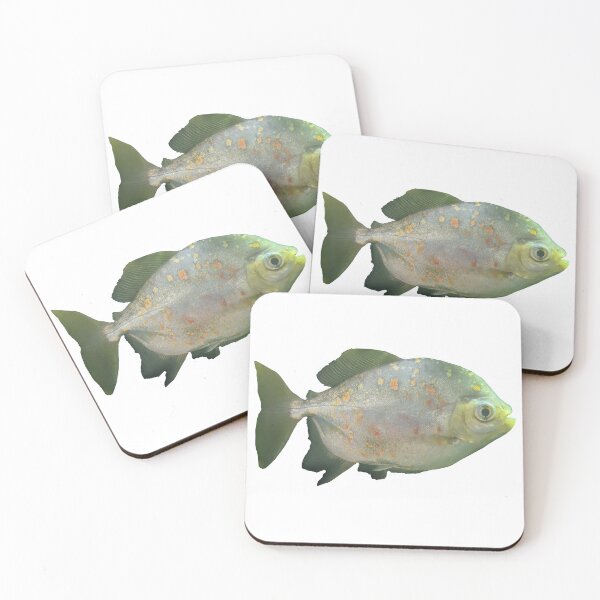 Item preview, Green Fish with Specs Photograph designed and sold by shadowspeeder.