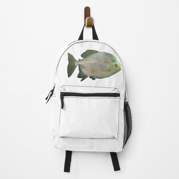 Item preview, Green Fish with Specs Photograph designed and sold by shadowspeeder.