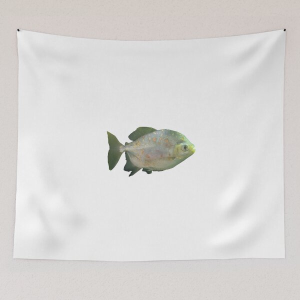 Item preview, Green Fish with Specs Photograph designed and sold by shadowspeeder.