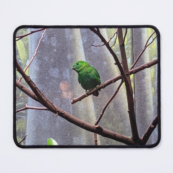 Item preview, Green Bird on Tree designed and sold by shadowspeeder.