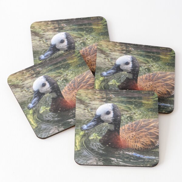 Item preview, Duck in Lake designed and sold by shadowspeeder.