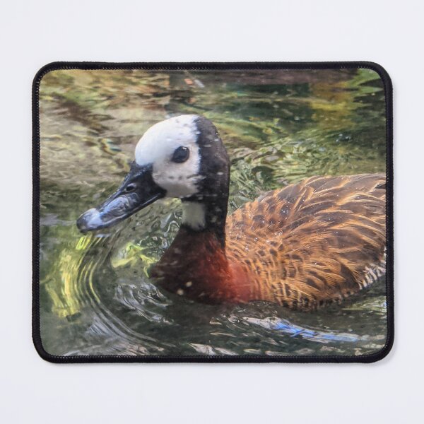 Item preview, Duck in Lake designed and sold by shadowspeeder.