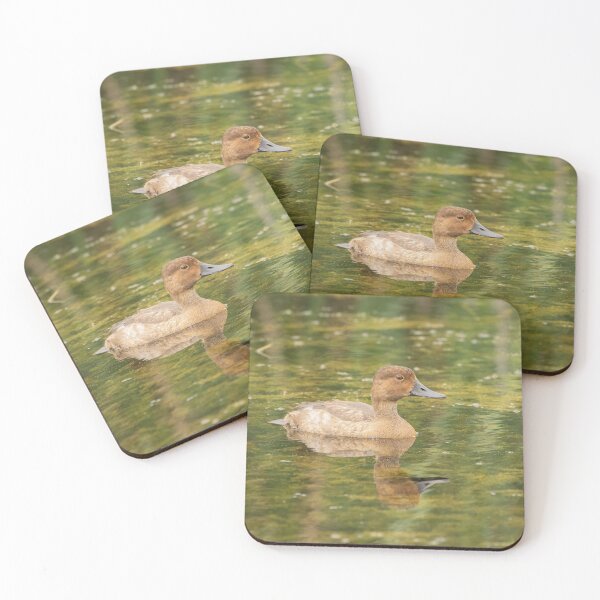 Item preview, Female Redheaded Duck 2016 designed and sold by Thomasyoung.