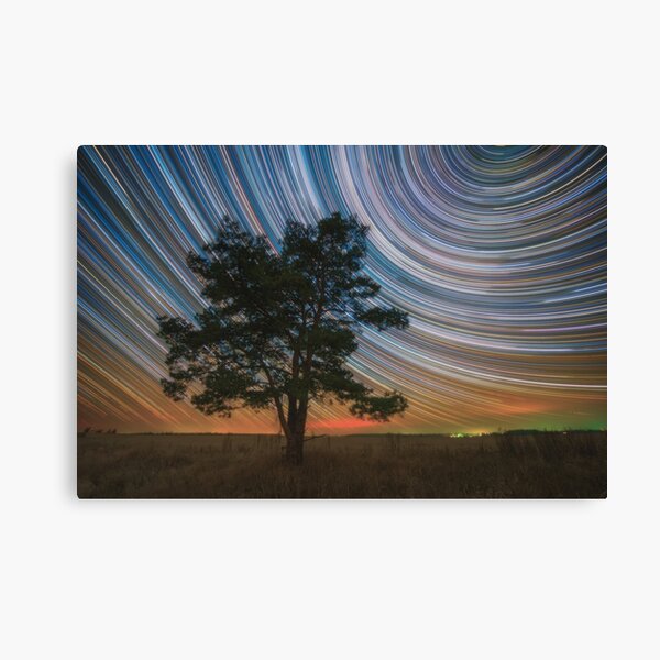 Lone pine Canvas Print