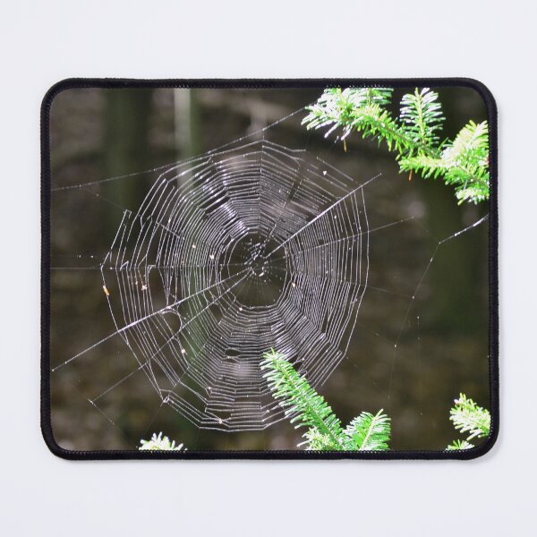 Item preview, Spider web Spruce Branches designed and sold by enchantedvibes.