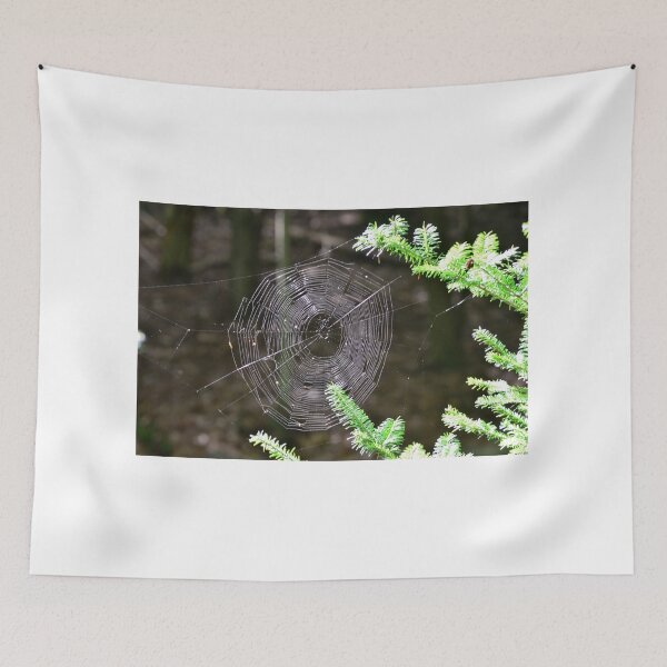 Item preview, Spider web Spruce Branches designed and sold by enchantedvibes.
