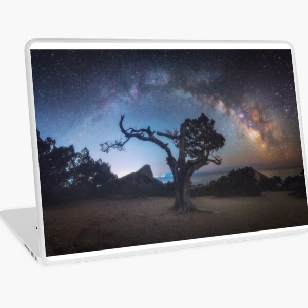 Old juniper Laptop Skin