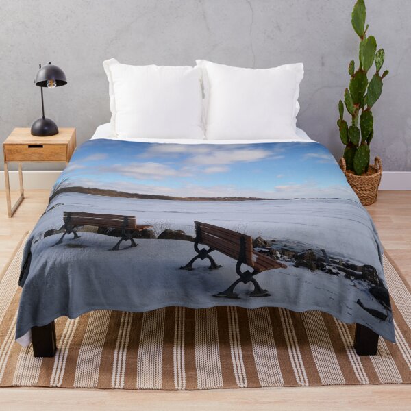 Item preview, frozen lake front designed and sold by lexicolor.