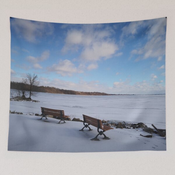 Item preview, frozen lake front designed and sold by lexicolor.