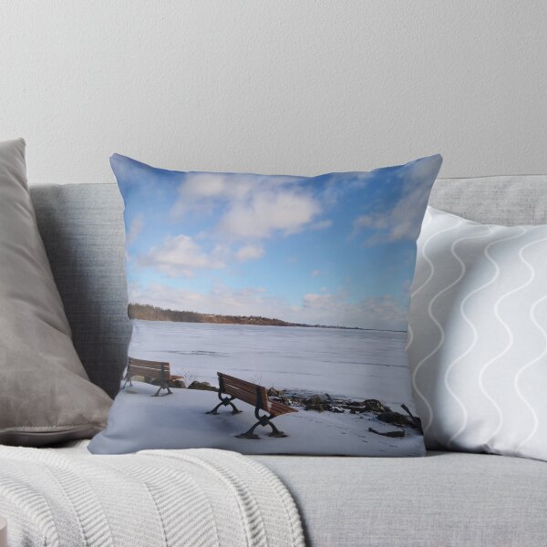 Item preview, frozen lake front designed and sold by lexicolor.