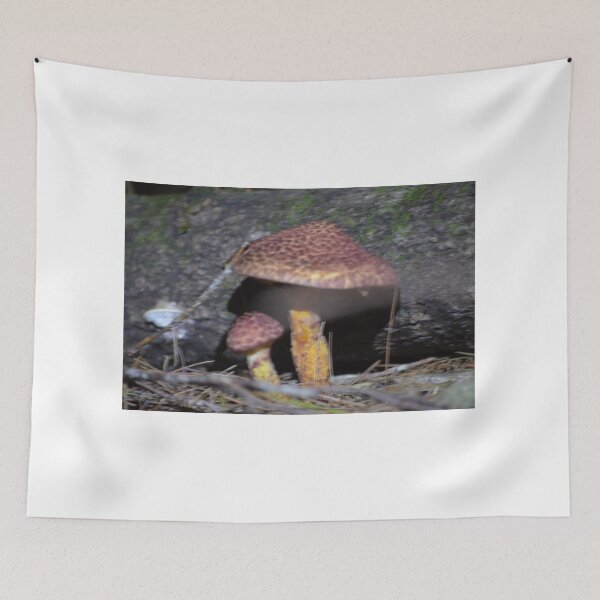Item preview, Red mushrooms designed and sold by enchantedvibes.