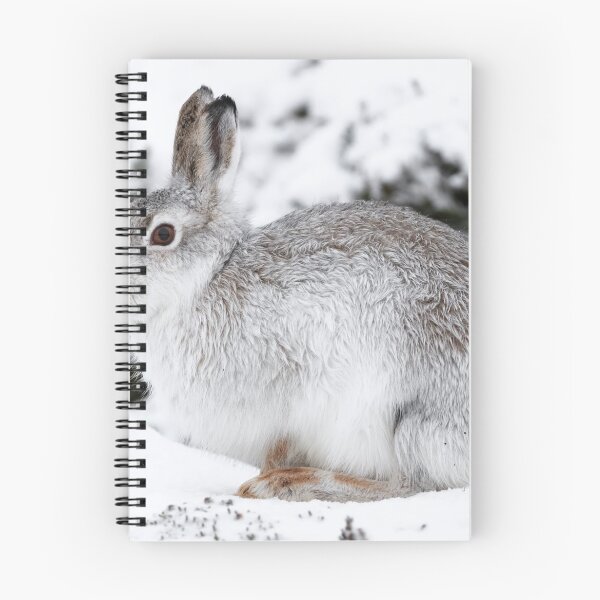 Item preview, The white beast designed and sold by chanonry.