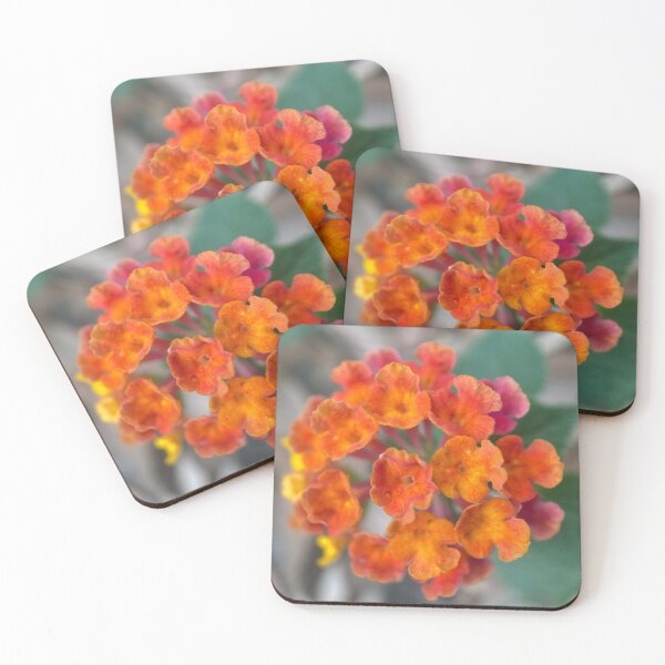 Item preview, Lantana Camara roja, naranja y amarilla designed and sold by Sinemathk.