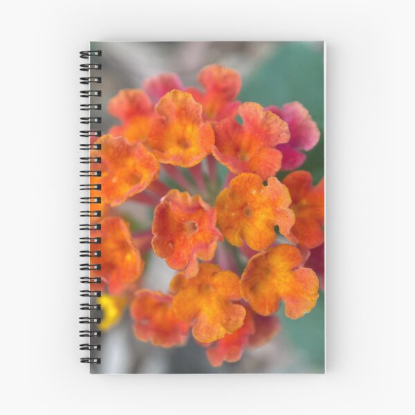 Item preview, Lantana Camara roja, naranja y amarilla designed and sold by Sinemathk.