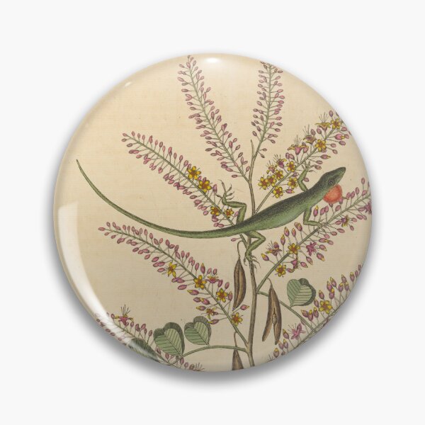 Item preview, The Green Lizard of Jamaica by Mark Catesby designed and sold by Amanda1775.