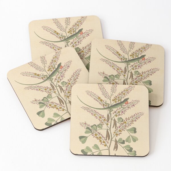 Item preview, The Green Lizard of Jamaica by Mark Catesby designed and sold by Amanda1775.