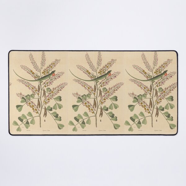 Item preview, The Green Lizard of Jamaica by Mark Catesby designed and sold by Amanda1775.