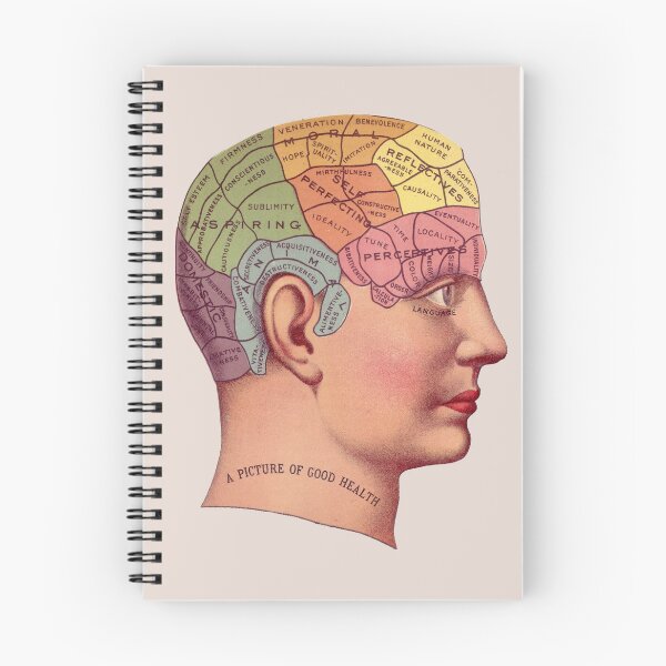 Item preview, Phrenology Head designed and sold by MadEDesigns.