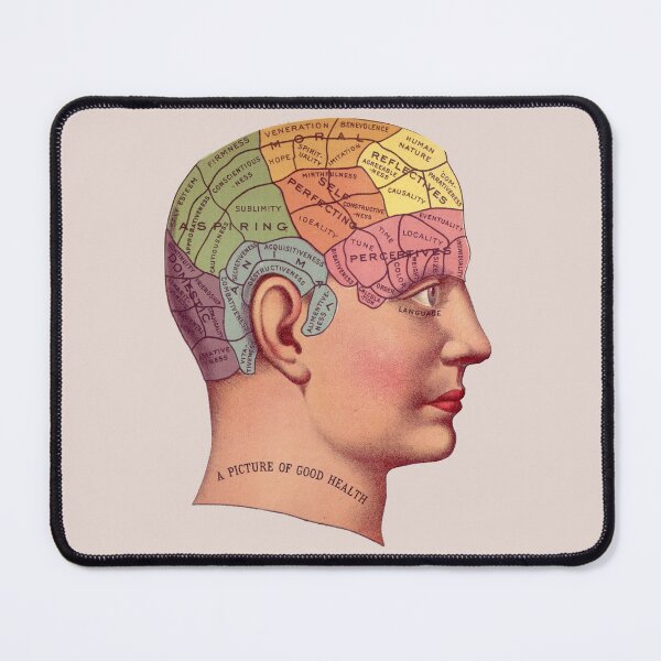 Item preview, Phrenology Head designed and sold by MadEDesigns.
