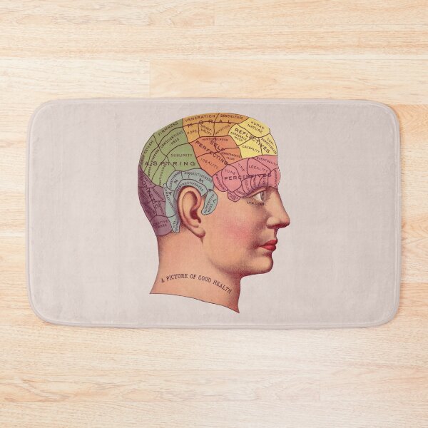 Item preview, Phrenology Head designed and sold by MadEDesigns.