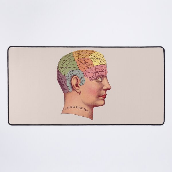Item preview, Phrenology Head designed and sold by MadEDesigns.