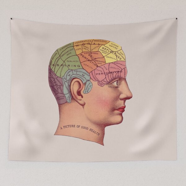 Item preview, Phrenology Head designed and sold by MadEDesigns.