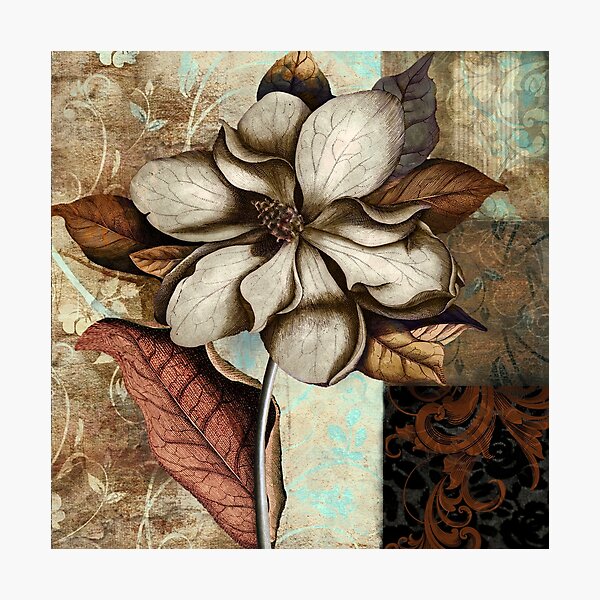 Ecru Magnolia Photographic Print