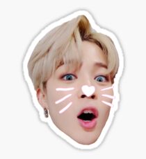 BTS JIMIN Sticker