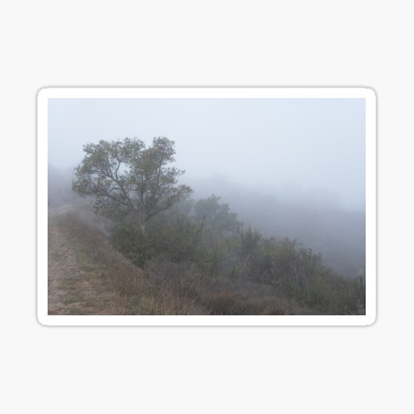 A cloudy and grey morning on the trail! Sticker