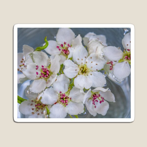 Flower Print #1 Magnet