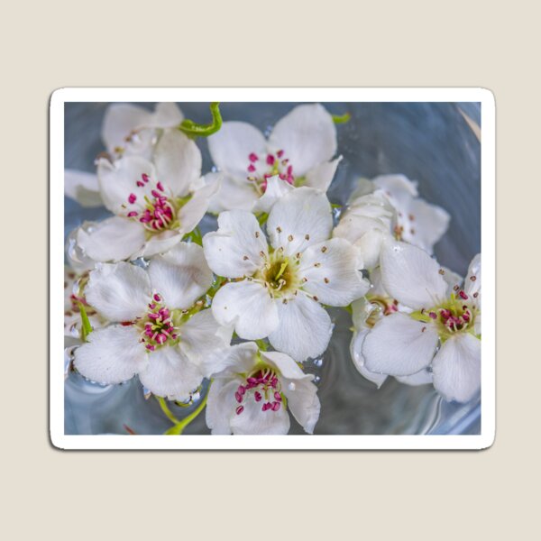 Flower Print #2 Magnet
