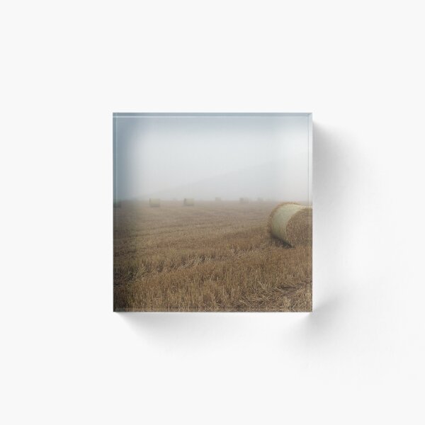 Item preview, Stonehaven Hay Field designed and sold by Wifflesnap.