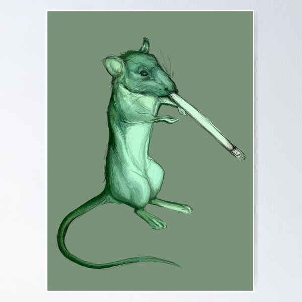 Life is soup, I am fork. White Mouse Rat Meme - Art Print Poster –  crizltron2000